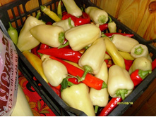 ��� ����� ��������.JPG