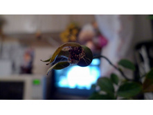 P1000030_.JPG