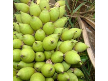 ����� ���*���� (�������) 100�� - 83 ���.