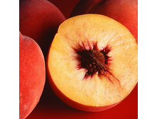 ����� ���������� �������� 100�� - 68 ���.