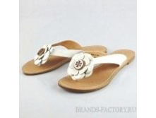 1617 ������, CB-8113.JPG