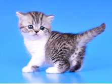 boy1-4.jpg