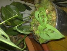 �������� ������������