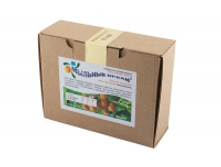 ������� ����� (Sapindus Trifoliatus)