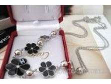 CB-8828   462 ���.