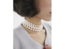 CB-8646   495 ���.