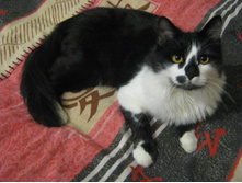 ����������� 024.jpg