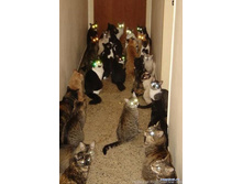 ��������� ���������.jpg