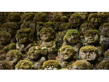 �����, ������