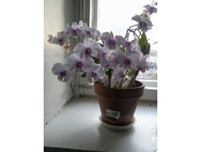 ����������