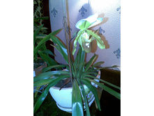 �������������