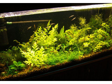 ��� 200�, ����� 2011