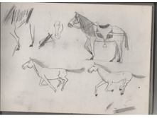 ������� (16).jpg