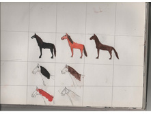 ������� (17).jpg