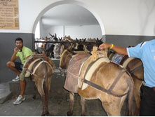 ��������� � �����