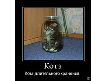 1269722218_253245_kote.jpg