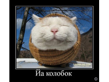 1269722230_862660_ja-kolobok.jpg
