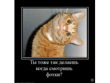 1269722231_123106_tyi-tozhe-tak-delaesh-kogda-smotrish-fotki.jpg