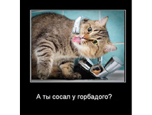 � ���������.JPG