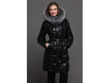 1102 WP Ostrich, 6700�.jpg
