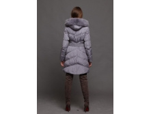 1207 Ostrich, 4500� ��.jpg