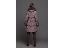 1490 Ostrich, 4600� ��.jpg