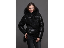 9272 WP Ostrich, 4400�.jpg