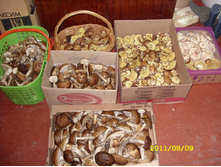 �������� ����� 2011.JPG