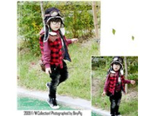 231 ���.   �������:  JS-22065 