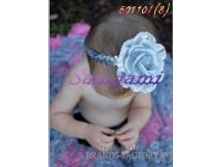 198 ���.   �������:  IT-0077 