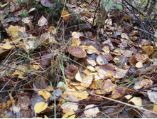 PA010298.JPG