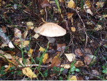 PA010300.JPG