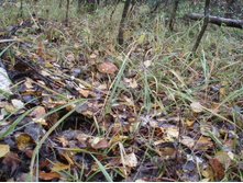 PA010308.JPG