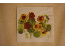  0,����� �����