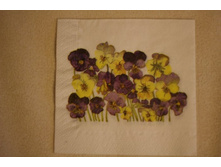 00,����� �����