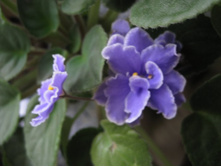 ������� ������..������ �����