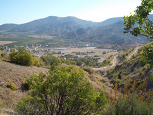 ��� ������ �� ���. ��ӣ���