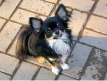 ���� ���-�� ���� ������� )))