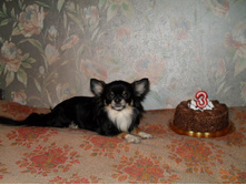 ���� �������� !!!