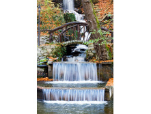 IMG_9790 �����1.jpg