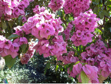 ��� �� �����, � ������ !!!