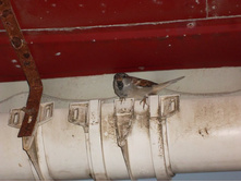 �������� ������� ��� ��������