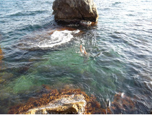 ������ ������ ������� ����