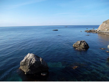 ����� ���� �� ���� �����