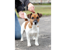 IMG_6659 ���������.jpg