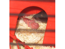 ������������� ������� � ������