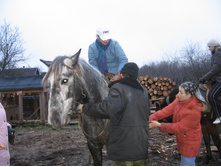 �� ������ ������ ���� ��������