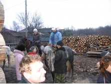 ��������-����