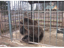 ��������� �����