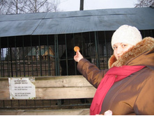 ������ ����